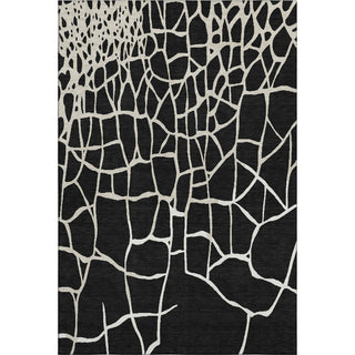 Piper Looms Mayfield Squares AMF1049 Black Machine Washable Area Rug main image