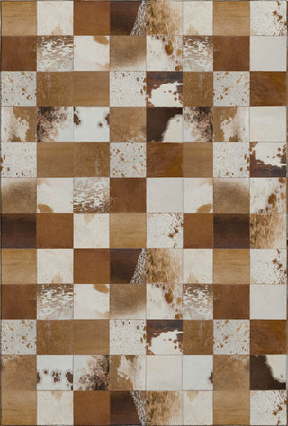 Piper Looms Mayfield Boxes AMF105 Brown Machine Washable Area Rug main image