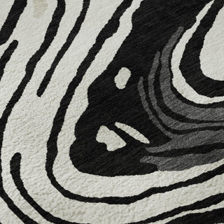 Piper Looms Mayfield Swirls AMF1051 Black Machine Washable Area Rug Swatch Image