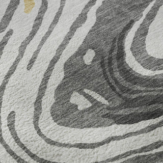 Piper Looms Mayfield Swirls AMF1051 Gray Machine Washable Area Rug Swatch Image