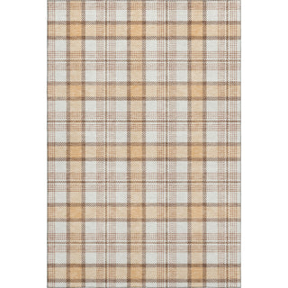 Piper Looms Mayfield Plaid AMF1052 Peach Machine Washable Area Rug main image