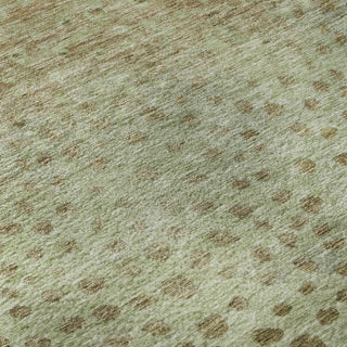 Piper Looms Mayfield Circles AMF1074 Aloe Machine Washable Area Rug Swatch Image