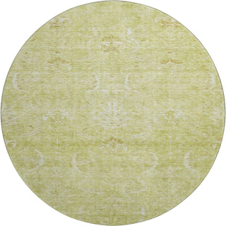 Piper Looms Mayfield Damask AMF1083 Aloe Machine Washable Area Rug Round Main Image