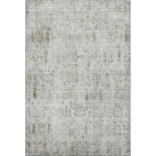 Piper Looms Mayfield Floral AMF1092 Silver Machine Washable Area Rug main image