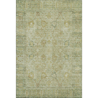Piper Looms Mayfield Global AMF1106 Sage Machine Washable Area Rug main image