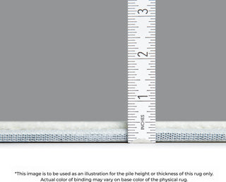 Piper Looms Mayfield Stripes Bars and Horizontal Lines AMF114 Gray Machine Washable Area Rug Depth Image