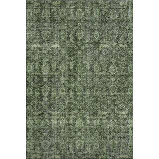 Piper Looms Mayfield Damask AMF1145 Cactus Machine Washable Area Rug main image