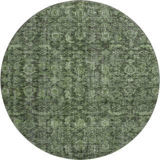 Piper Looms Mayfield Damask AMF1145 Cactus Machine Washable Area Rug Round Main Image