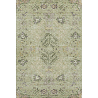 Piper Looms Mayfield Floral AMF1156 Aloe Machine Washable Area Rug main image