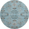 Piper Looms Mayfield Floral AMF1156 Sky Machine Washable Area Rug Round Main Image