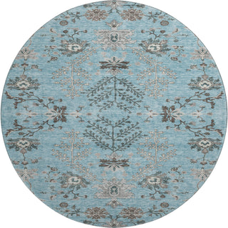 Piper Looms Mayfield Floral AMF1156 Sky Machine Washable Area Rug Round Main Image