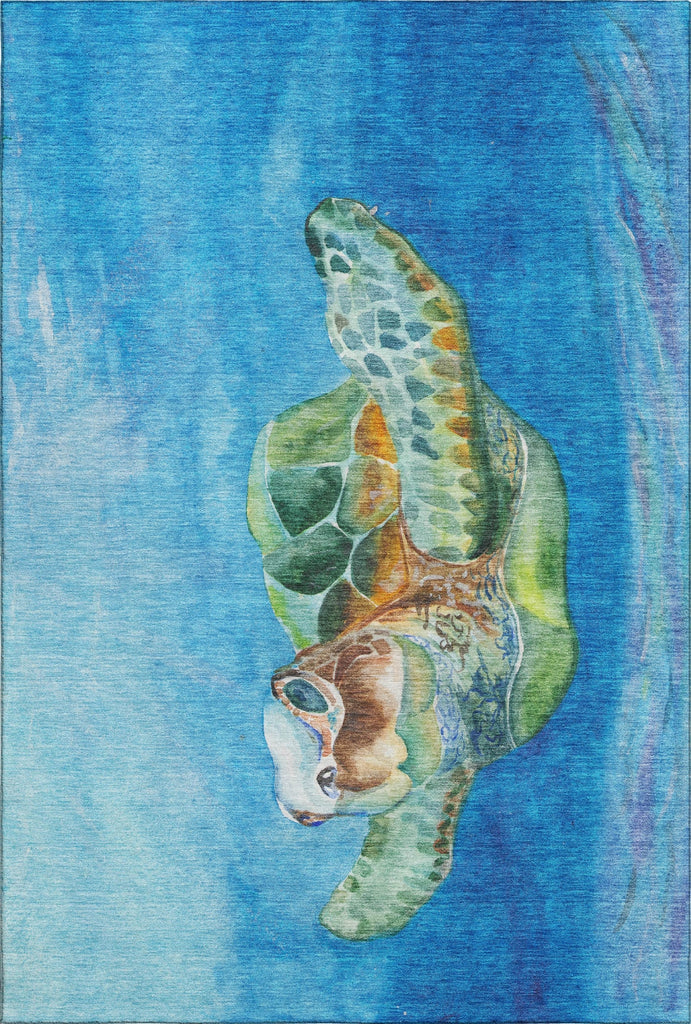 Piper Looms Mayfield Turtle AMF148 Ocean Machine Washable Area Rug main image