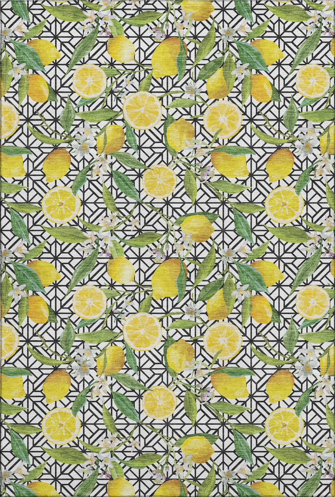 Piper Looms Mayfield Lemons AMF160 Yellow Machine Washable Area Rug main image