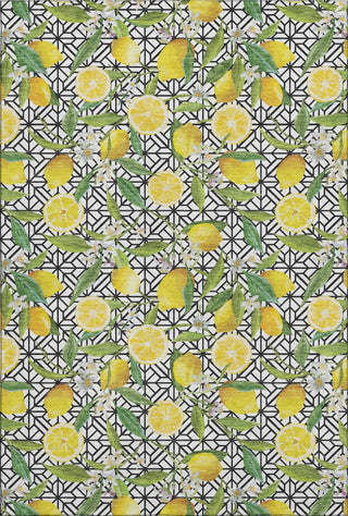 Piper Looms Mayfield Lemons AMF160 Yellow Machine Washable Area Rug main image