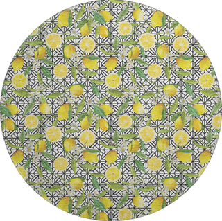 Piper Looms Mayfield Lemons AMF160 Yellow Machine Washable Area Rug Round Main Image