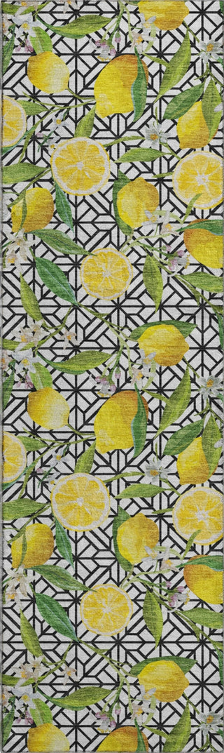 Piper Looms Mayfield Lemons AMF160 Yellow Machine Washable Area Rug Runner Main Image