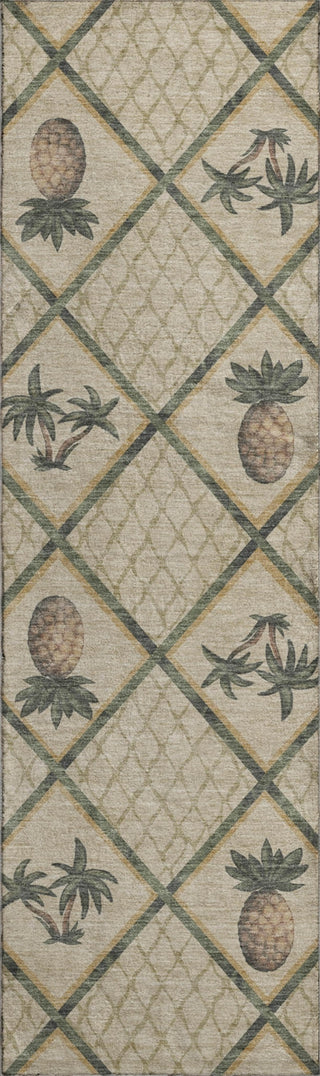 Piper Looms Mayfield Bamboo and Pineapples AMF162 Palm Machine Washable Area Rug Runner Main Image