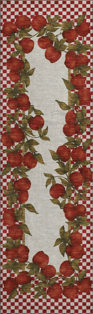 Piper Looms Mayfield Apple Border AMF164 Machine Washable Area Rug Runner Main Image