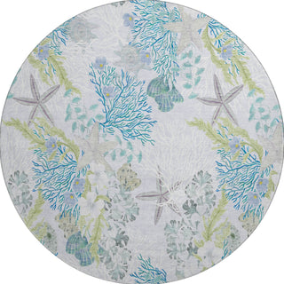 Piper Looms Mayfield Coral AMF180 Aqua Machine Washable Area Rug Round Main Image