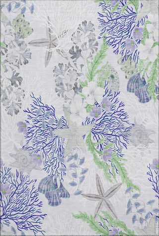 Piper Looms Mayfield Coral AMF180 Blue Machine Washable Area Rug main image