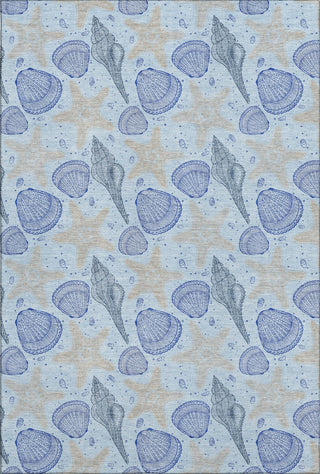 Piper Looms Mayfield Shells AMF183 Blue Machine Washable Area Rug main image