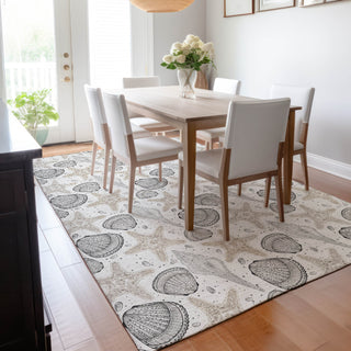 Piper Looms Mayfield Shells AMF183 Fog Machine Washable Area Rug Lifestyle Image Feature