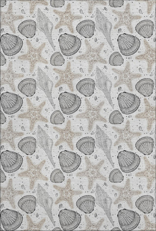 Piper Looms Mayfield Shells AMF183 Fog Machine Washable Area Rug main image