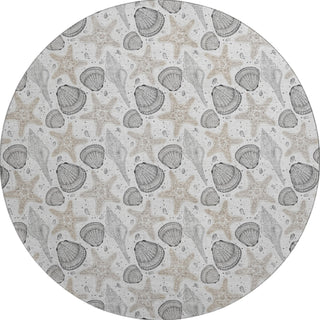 Piper Looms Mayfield Shells AMF183 Fog Machine Washable Area Rug Round Main Image