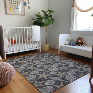 Piper Looms Mayfield Shells AMF183 Midnight Machine Washable Area Rug Lifestyle Image Feature