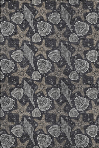 Piper Looms Mayfield Shells AMF183 Midnight Machine Washable Area Rug main image