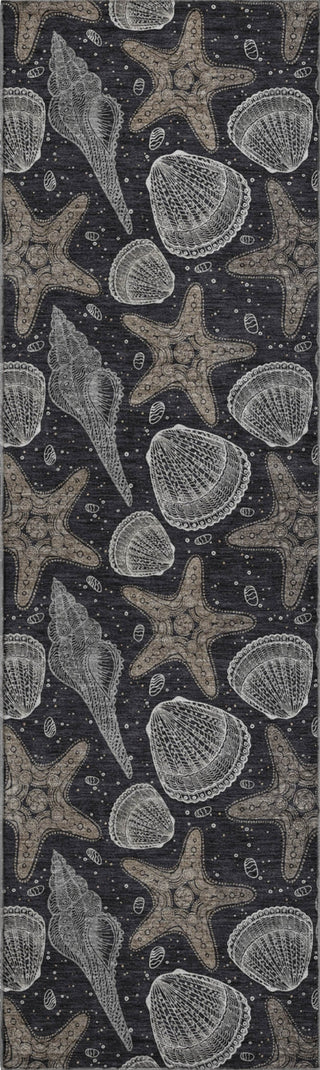 Piper Looms Mayfield Shells AMF183 Midnight Machine Washable Area Rug Runner Main Image