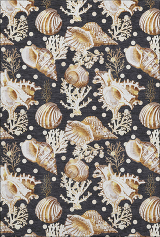 Piper Looms Mayfield Shells AMF185 Midnight Machine Washable Area Rug main image