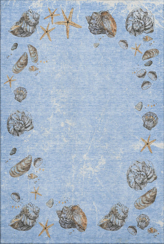 Piper Looms Mayfield Shell Border AMF188 Blue Machine Washable Area Rug main image