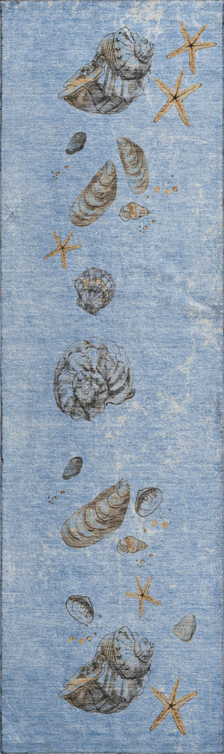 Piper Looms Mayfield Shell Border AMF188 Blue Machine Washable Area Rug Runner Main Image