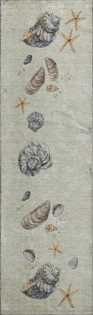 Piper Looms Mayfield Shell Border AMF188 Oyster Machine Washable Area Rug Runner Main Image