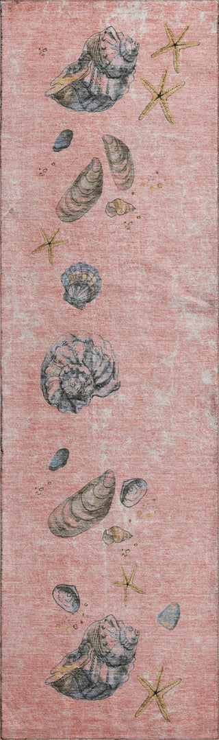 Piper Looms Mayfield Shell Border AMF188 Peach Machine Washable Area Rug Runner Main Image