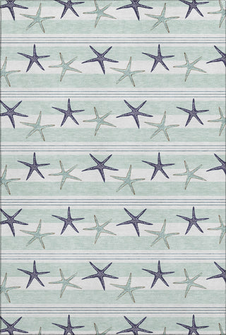 Piper Looms Mayfield Starfish AMF191 Seaglass Machine Washable Area Rug main image