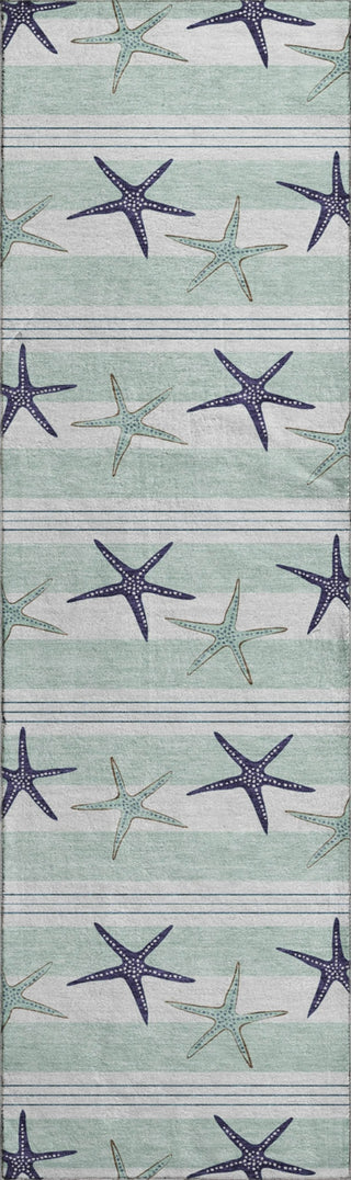 Piper Looms Mayfield Starfish AMF191 Seaglass Machine Washable Area Rug Runner Main Image