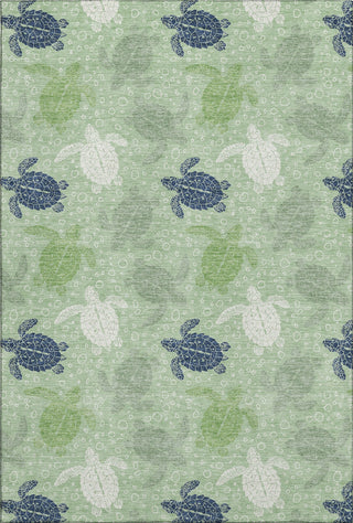 Piper Looms Mayfield Turtles AMF192 Green Machine Washable Area Rug main image