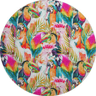Piper Looms Mayfield Tropical Birds AMF200 Multi Machine Washable Area Rug Round Main Image