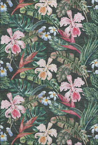 Piper Looms Mayfield Floral and Leaves AMF201 Midnight Machine Washable Area Rug main image