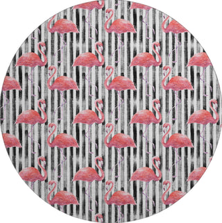 Piper Looms Mayfield Stripes and Flamingos AMF204 Pink Machine Washable Area Rug Round Main Image