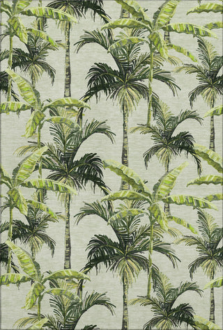 Piper Looms Mayfield Palm Trees AMF205 Green Machine Washable Area Rug main image
