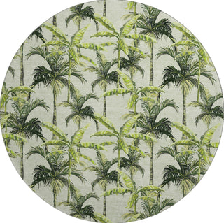 Piper Looms Mayfield Palm Trees AMF205 Green Machine Washable Area Rug Round Main Image