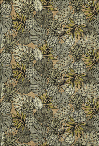 Piper Looms Mayfield Leaves and Pineapples AMF206 Baja Machine Washable Area Rug main image