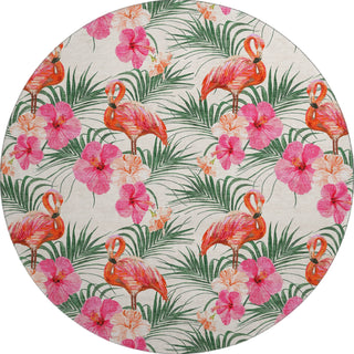 Piper Looms Mayfield Leaves and Flamingos AMF207 Pink Machine Washable Area Rug Round Main Image