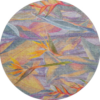 Piper Looms Mayfield Birds Of Paradise AMF209 Multi Machine Washable Area Rug Round Main Image