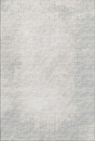 Piper Looms Mayfield Abstract AMF34 Gray Machine Washable Area Rug main image