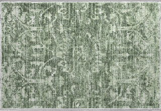 Piper Looms Mayfield Serpentine AMF40 Green Machine Washable Area Rug Scatter Main Image