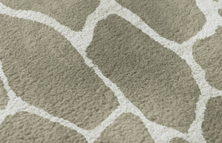 Piper Looms Mayfield Giraffe AMF45 Taupe Machine Washable Area Rug Swatch Image